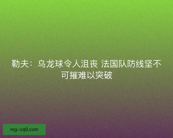 勒夫：乌龙球令人沮丧 法国队防线坚不可摧难以突破